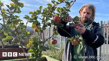 Hull: The city set to give people the 'right to grow'