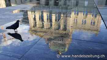 Die Wirtschaftsprogramme der Parteien im Überblick