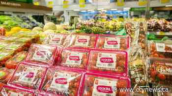 Fresh fruit and vegetable producers warn proposed plastic reductions could spike grocery prices