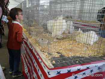 Chickens, cows and turkeys: Fond memories caring for the animals of the North Carolina State Fair