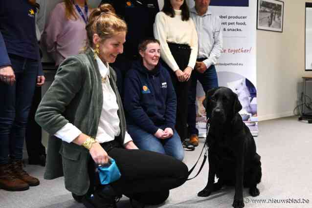 Cooper, de emotionele zorghond die (jonge) slachtoffers gerust moet stellen: “Dankzij hem willen ze wél praten”