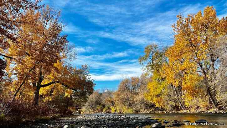 Is this why they call it 'fall'? Calgary expecting a 25 degree temp drop