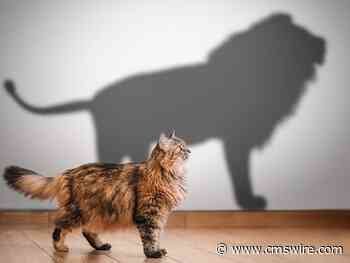 Transforming Customer and Employee Experiences Across Industries With AI