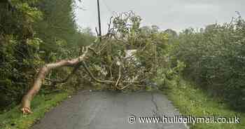Storm Babet Hull and East Yorkshire LIVE as flood alert issued for city