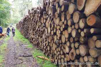 Kreis-SPD, BUND und Pro Grün Paderborn kritisieren Entscheidung der Kreis-CDU