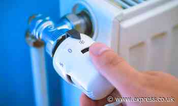 'I'm a heating expert - this is the perfect thermostat temperature to keep your home warm'