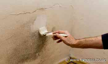 Paint expert shares urgent warning on painting over mould and damp or risk ‘damage’