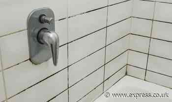 ‘Really bad’ grout mould stains ‘vanish fast’ with spray cleaner claims is a ‘godsend’