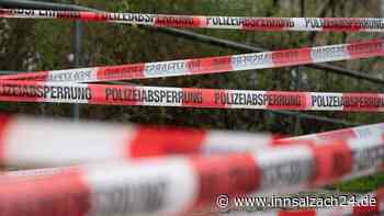 Mann (†86) steigt aus Auto und wird von umstürzendem Baum erschlagen - tot