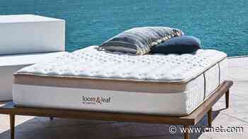 Loom & Leaf Mattress Review: Our Honest Review     - CNET