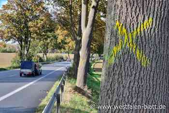 B252: Ausbau zwischen Hohenwepel und Alfredshöhe ist bereits genehmigt