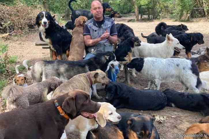 Brams hondenopvang in Purmerbos moet weg: “Dit krijg je nooit meer terug”
