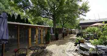 Naperville chicken therapy group may be allowed to keep porta-potty