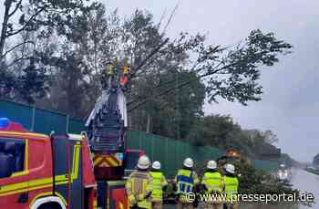 FW Bremerhaven: Mehrere Bäume zur BAB 27 umgeknickt