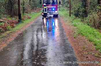 FW-Schermbeck: Baum auf Strom- und Telefonleitung