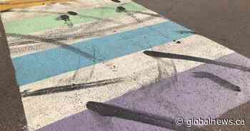Memramcook, N.B. considers lawsuit over Pride crosswalk vandalism