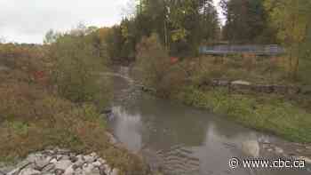 Newly completed section of trail in the Meadoway in Scarborough opens