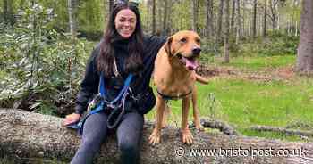 Olivia makes hundreds a month looking after dogs at weddings