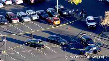 Shoplifting suspect hits vehicles trying to get away from police