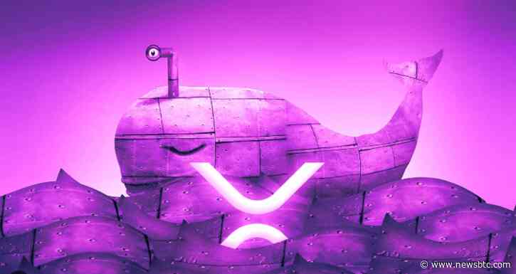 XRP Price Set To Surge Amid Heightened Whale Accumulation