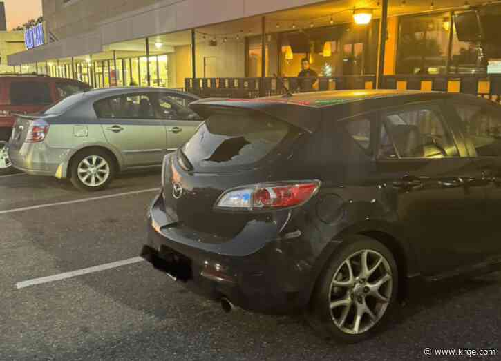 Bullet goes through windshield, knocks off driver's glasses
