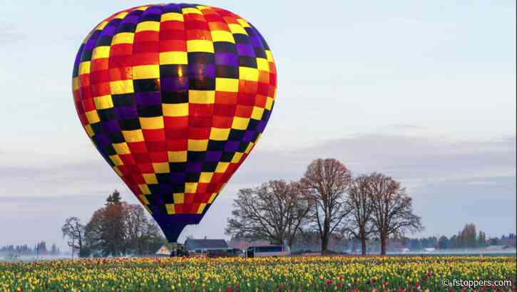 How to Use Lightroom's Powerful New Point Color Tool