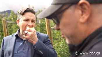 Poilievre gets international attention for apple-eating viral moment