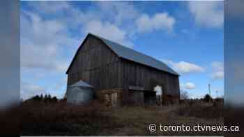 'Bordering on negligence': Mississauga committee takes aim at PDSB following heritage farm fire