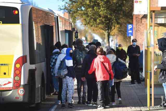 Grondige reorganisatie van De Lijn door gemeente Hamme bijgestuurd: “Streven naar maximale basisbereikbaarheid, ook in Moerzeke en Kastel”