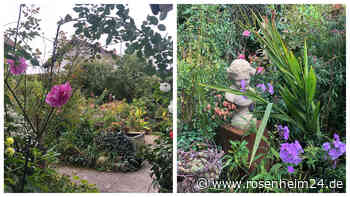 Im schönsten Garten Wasserburgs: Hier wirkt eine Hobby-Gärtnerin mit stadtbekanntem Namen