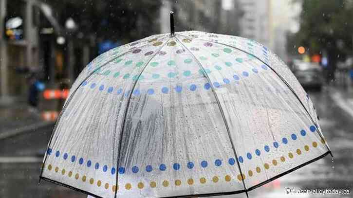 Much of southern Quebec under rainfall warning, up to 60 millimetres expected