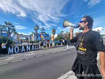Orque décédé soudainement à Marineland: l'association One Voice réclame justice pour Moana