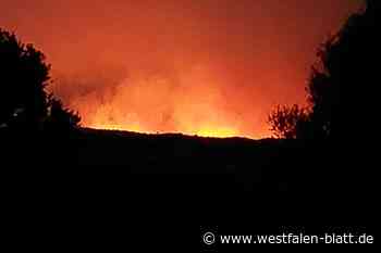 In der Flammenhölle auf Rhodos: Traumurlaub wird zum Albtraum