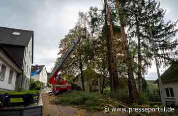FW Finnentrop: Sägen aus dem Korb der Drehleiter