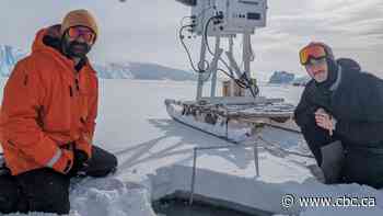 'Dramatic decline': Calgary researcher says sea ice in Antarctica lowest since 1986