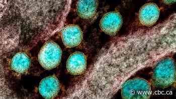 New research offers clues to what causes long COVID — fuelling hope for eventual treatments