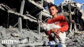 BBC reports from destroyed neighbourhood in Gaza