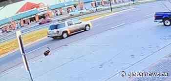 Pedestrian seriously injured in hit-and-run: Edmonton Police