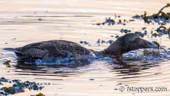 How Can You Enter Photography’s Circle of Success? Here Are Seven Ways