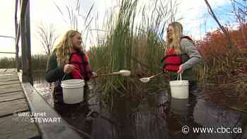 Hands-on learning at Oak Hammock for Manitoba teachers