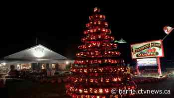 Annual pumpkin pyramid lighting held in Stayner