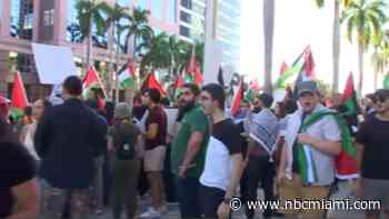 Demonstrators gather in Fort Lauderdale for Pro-Palestinian rally