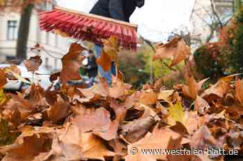 Kostenlose Laubabgabe in Steinhagen