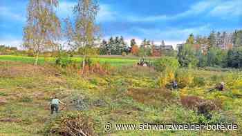 Nicht nur am Jagen: Fünf Wildberger Jäger kümmern sich um Feuchtbiotop