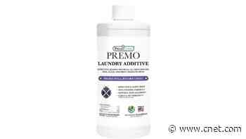 Sleep Tight, Bug-Free Nights: 8 Expert Tips to Eliminate Bedbugs From Your Mattress     - CNET