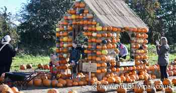 Happy - and scary - faces as families go pumpkin picking for Halloween