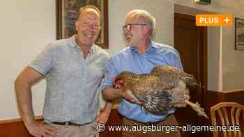 Hühnerhaltung im eigenen Garten liegt im Trend - auch in Augsburg