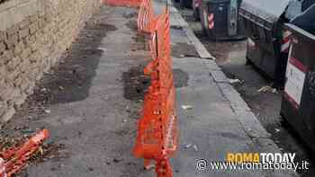 Lettori - Topi a Portonaccio, AMA dove sei?