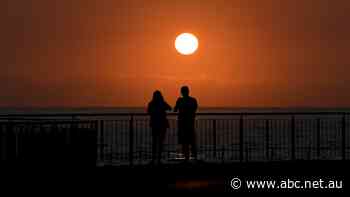 'Series of red flags': Sydneysiders warned to save water as rainfall, dam levels take a dive