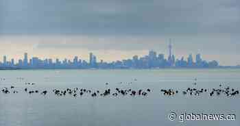 Parts of southern Ontario under frost warnings as weather begins to bite